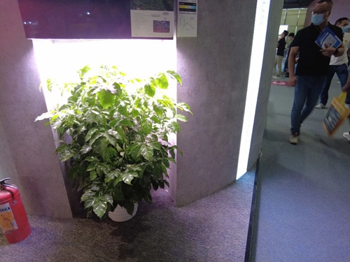 朗明纳斯植物照明光源展示