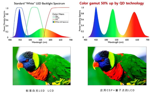 “量子点”斩获诺奖，晶能光电积极融入显示产业变革